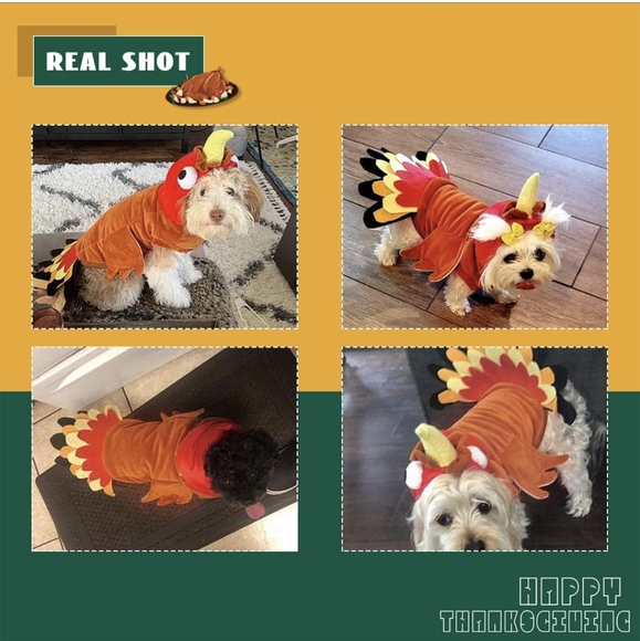 Turkey Dog Costume Thanksgiving Apparel Pet Costume for Dogs and Cats - Picture 4 of 11